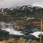 Vacunas acelulares, una forma de efectiva de prevenir la mortalidad en bebés prematuros