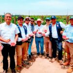 Francisco Rodríguez Larraín asume la presidencia de APECOSE