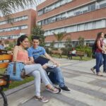 Día del Mecánico: Cómo la tecnología transforma la capacitación técnica en maquinaria pesada