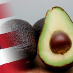 ¿Estás en una relación tóxica?: Identifica las señales de alerta y aprende a romper ciclos