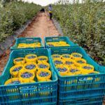 Contraloría promueve el reinicio de trabajos en obra con retrasos de Sedalib