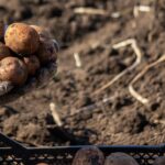 UPAO moderniza equipos audiovisuales del hospital Belén