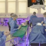 Adopción responsable: ¿Qué es lo que debes tener en cuenta antes de tener una mascota?