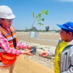 SERVIR aprueba lineamientos para el nombramiento del personal bajo el régimen del Decreto Legislativo N° 276