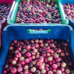 UNT lanza concurso literario sobre el humanismo de José Faustino Sánchez Carrión