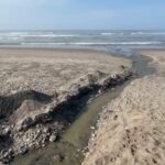 ¿Qué son las tecnologías QLED y Neo QLED de Samsung y por qué la marca es líder en televisores desde hace 19 años?