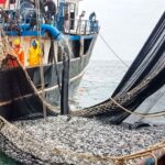 Conoce los proyectos sociales que abordan las problemáticas de ollas comunes y comedores populares