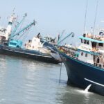 Reservas peruanas en peligro Mineros ilegales en áreas protegidas