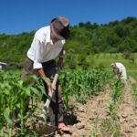 HIDRANDINA REFUERZA SU PRESENCIA EN ZONAS RURALES CON CARAVANA ELÉCTRICA EN CANSECO, DISTRITO DE POROTO