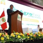 Programas de posgrado para empresas: ¿Qué buscan y qué especialidades son las más demandadas en la actualidad?