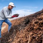 ¿Dónde comprar un smartphone y evitar que sea bloqueado?