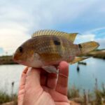 MINPRO 2025: INVERSIÓN EN EQUIPAMIENTO MINERO EXPERIMENTÓ UN INCREMENTO 