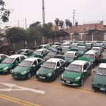 En vigencia Régimen de protección y bienestar animal y de tenencia de canes