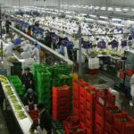 El 40.8% de los trabajadores de Trujillo está en estado de vulnerabilidad